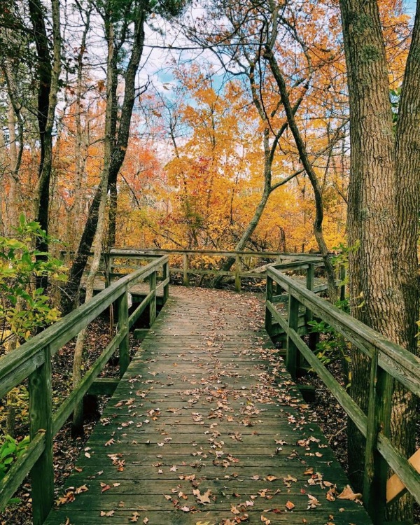 The Villages at Ocean Edge Resort & Golf Club image 8